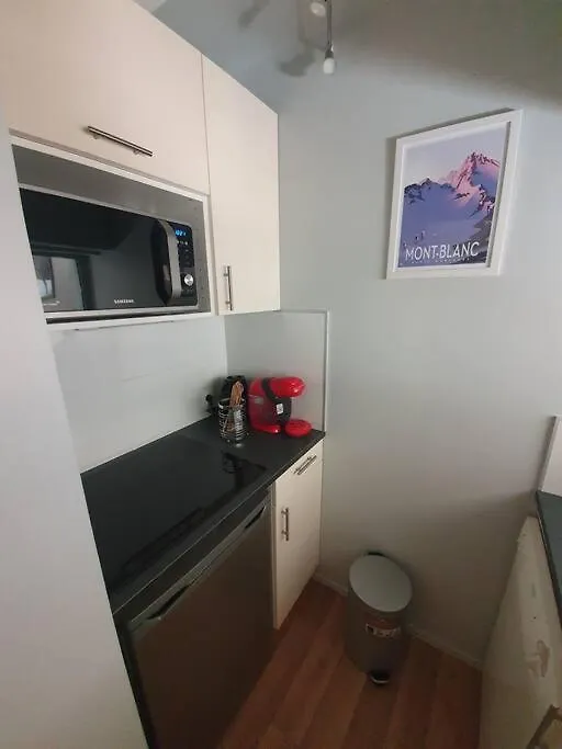 Appartement Superbe 2 pièces, centre vue Mont-Blanc à Chamonix France